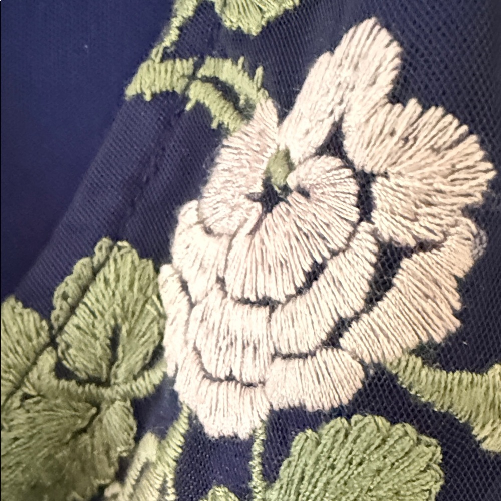 Adrianna Papell Navy Maxi Dress with Pink & Green Floral Embroidery - Picture 5 of 5